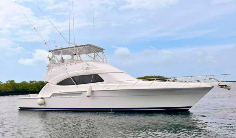 
								BERTRAM CONVERTIBLE 51 full									