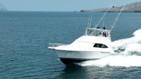 BERTRAM CONVERTIBLE 51