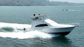 BERTRAM CONVERTIBLE 51