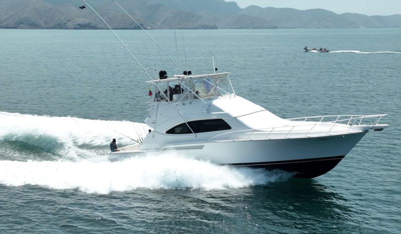 
								BERTRAM CONVERTIBLE 51 full									