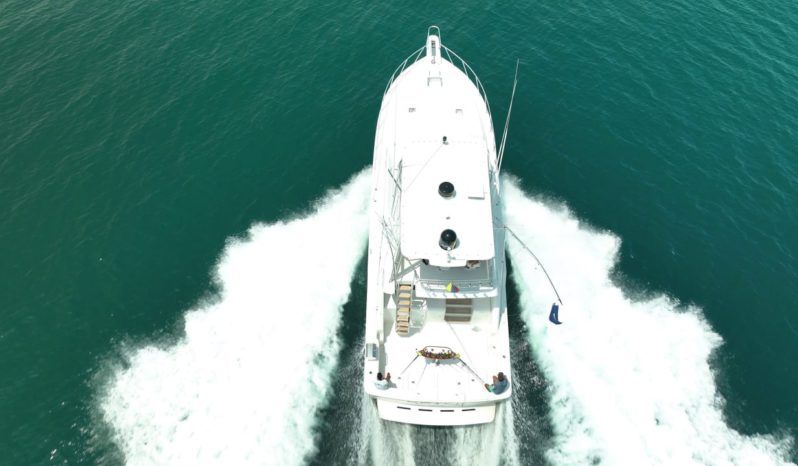 
								BERTRAM CONVERTIBLE 51 full									