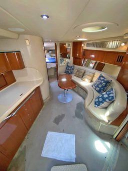 
										SEA RAY SUNDANCER 410 41 full									