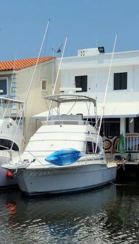 BERTRAM 390 41.8