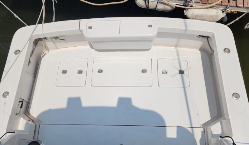 
								BERTRAM 390 41.8 full									