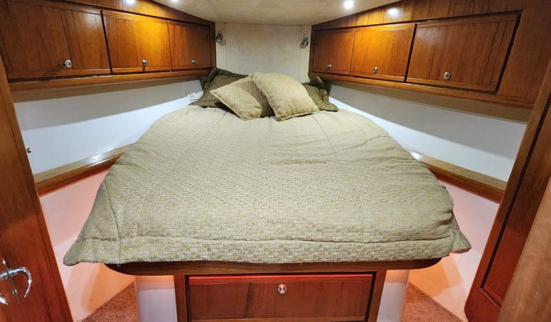 
								BERTRAM 390 41.8 full									