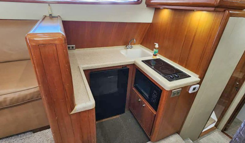 
								BERTRAM 390 41.8 full									