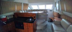 
										CARVER SPORT 38 full									