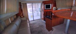 
										CARVER SPORT 38 full									