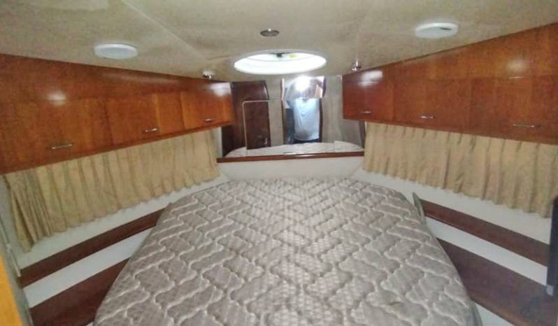 
								CARVER SPORT 38 full									