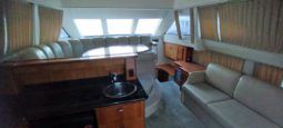
										CARVER SPORT 38 full									