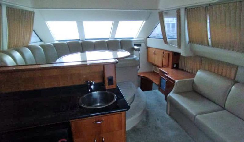 
								CARVER SPORT 38 full									
