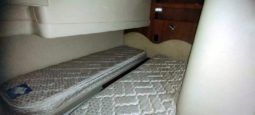 
										CARVER SPORT 38 full									