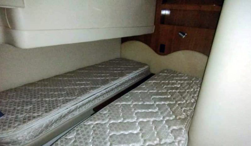 
								CARVER SPORT 38 full									