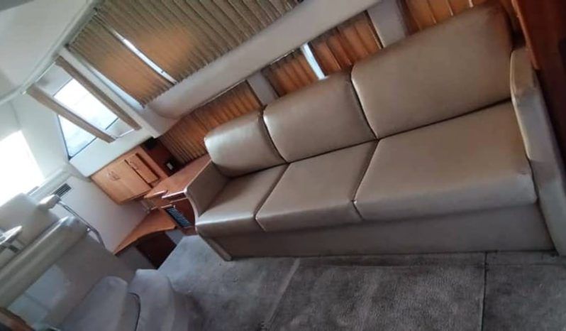 
								CARVER SPORT 38 full									