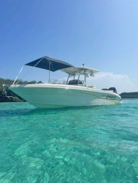 PROMARINE OPEN 24
