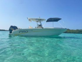 PROMARINE OPEN 24