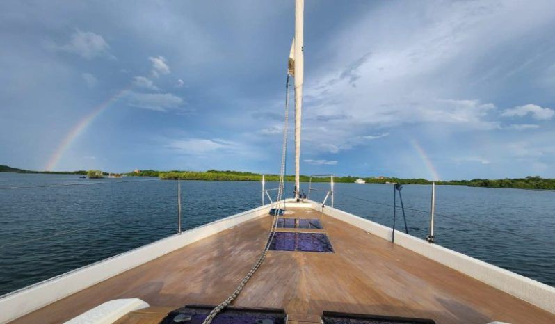 
								VELERO HANSE 57.5 full									