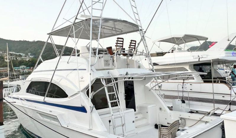 
								BERTRAM 51 full									