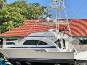 BERTRAM 51