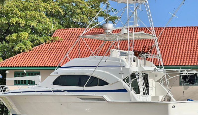 
								BERTRAM 51 full									