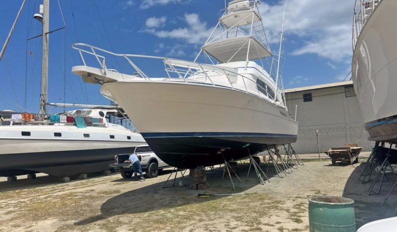 
								BERTRAM 51 full									