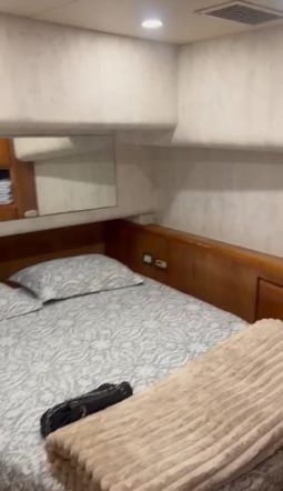 
										BERTRAM 51 full									