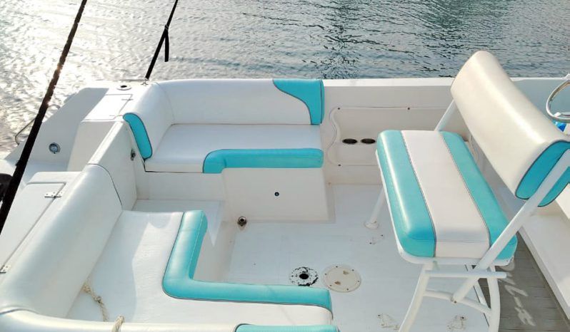 
								CORALINE OPEN 28 full									