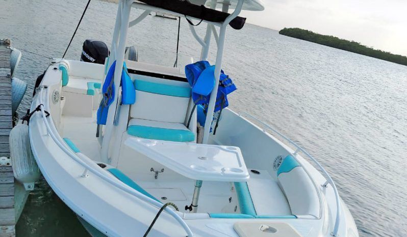 
								CORALINE OPEN 28 full									