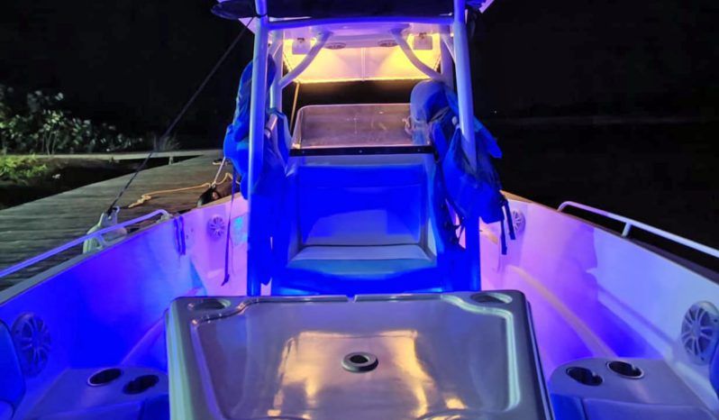 
								CORALINE OPEN 28 full									