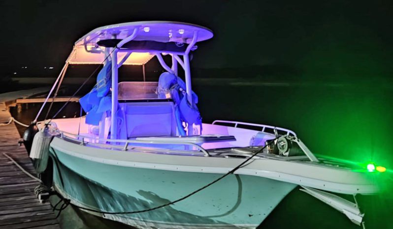
								CORALINE OPEN 28 full									