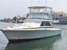 BERTRAM 38