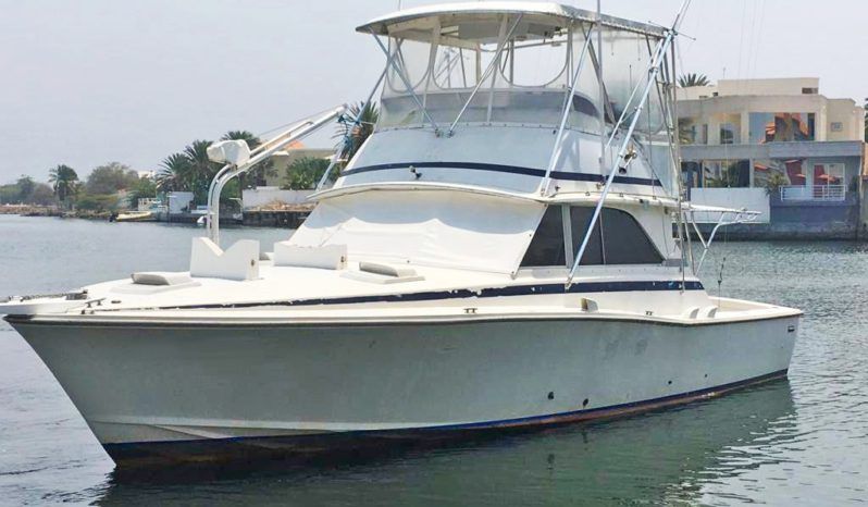 
								BERTRAM 38 full									