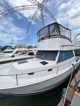 MAINSHIP 35