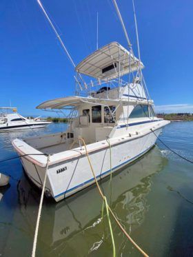 BERTRAM 38