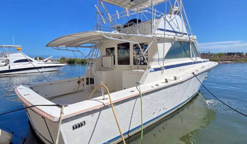 
								BERTRAM 38 full									
