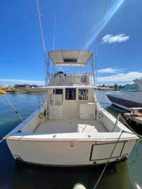 BERTRAM 38