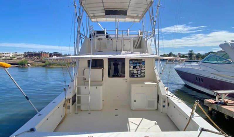 
								BERTRAM 38 full									