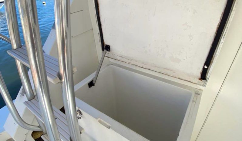 
								BERTRAM 38 full									