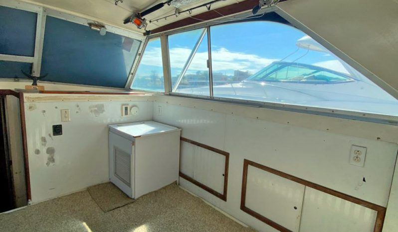 
								BERTRAM 38 full									