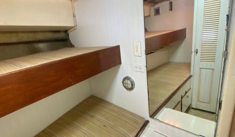 
								BERTRAM 38 full									
