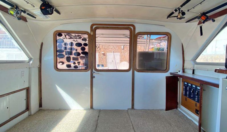 
								BERTRAM 38 full									