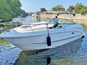 CHAPARRAL 30