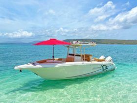PROMARINE 26