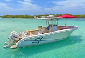 PROMARINE 26