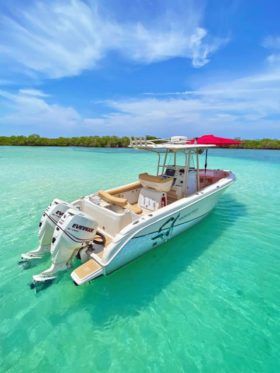PROMARINE 26