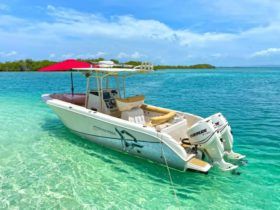 PROMARINE 26