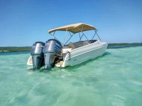 BLACK JACK SPORT 26