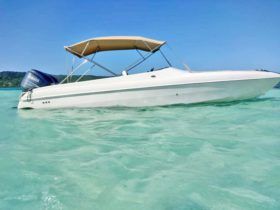BLACK JACK SPORT 26