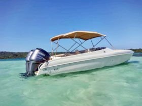 BLACK JACK SPORT 26