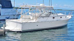 MAINSHIP PILOT 34
